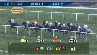 Gulfstream Park Carrera 7 - 21 de Febrero  2019