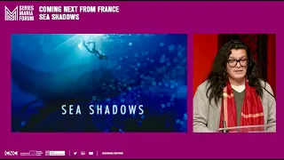 Coming Next from France 2024 at Séries Mania / "Sea Shadows" (6x52')