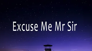 Avicii - Excuse Me Mr Sir (Lyrics) ft. Vargas & Lagola