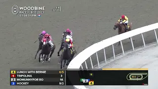 Woodbine, Tbred, August 13, 2023 Race 1