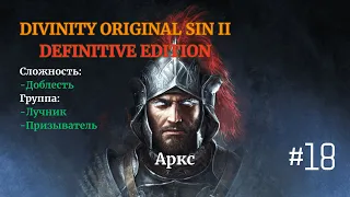 Divinity: Original Sin II[DE]. Доблесть. Лучник и Призыватель.  #18