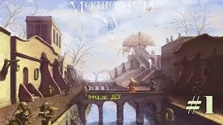 The Elder Scrolls III: Morrowind - Прибытие в Сейда - Нин [ 1 ]