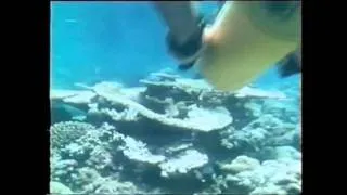 Mainstay Vintage TV Advert - 'Mauritius Underwater'  1984