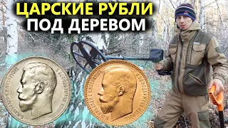 Царские рубли лежали в корне дерева! Пришлось вырубить лес. Коп поиск монет 2022