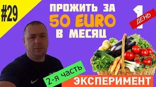 Как прожить за 50 евро в месяц в Нидерландах | День #1 | Эксперимент. 2-я часть