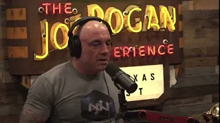 Joe Rogan Reacts to Bear Rock Climbing Attack Video