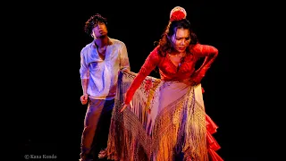 フラメンコ〜Flamenco〜　劇場公演 【CARMEN /カルメン】　　　　　　 アーカイブ配信ダイジェスト映像