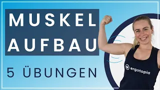 Grundübungen für den Muskelaufbau - 5 Übungen für zu Hause