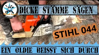 💪🪓Mit der Stihl 044 im Wald 💪🪓Ein Oldie beißt sich durch🪓