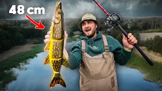 Trying GIANT Swimbaits (48 cm) for Cannibal Pike!!! 🔥