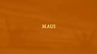 Dzsúdló - MAUI - Csak egy tánc volt