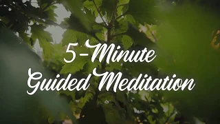 5-Minute Guided Meditation - Gratitude - Positive Affirmations