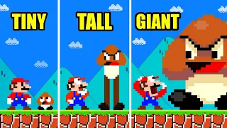 Super Mario Bros .But What If Mario's Ememies Could MORPH SIZES | Game Animation