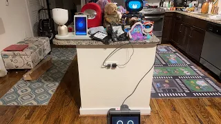 Jibo & Friends - Mystery Unboxing Livestream (Follow Me)