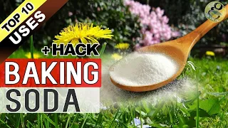 BAKING SODA IN GARDEN | TOP 10 Uses of Baking Soda Hacks in Gardening and Plants