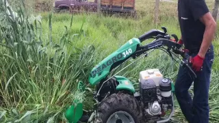 Segadora en Corte de Avena Forrajera