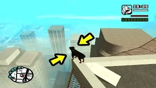 اقوى طيحات الحيوانات GTA San Andreas.EXE