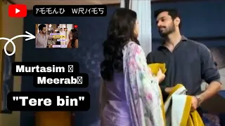 The way Murtasim look at Meerab..😍🐣🐥.| Meerab | Murtasim | .#wahajali #trending #terebin #yumnazaidi