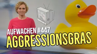 Aufwachen #447: Silvesternacht, Panzerlieferungen, Chaos im US-Kongress