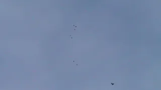 николаевские голуби 25.01.2020 голуби летят!