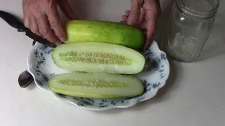 How To Easily Save All The Cucumber Seeds You Want Using Fermentation