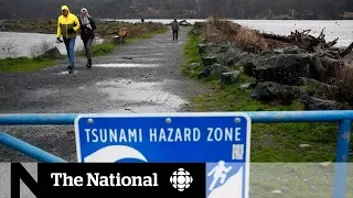 Tsunami warning: Was enough done to warn B.C.?