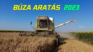 Búza Aratás 2023 | Fortschritt E514 búza aratás