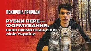 Похорона природи. Рубки переформування: нова схема знищення лісів України