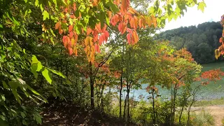 Strouds Run State Park, Lake View Trail, Athens, Ohio, USA; Fall Colors 2020 - Part 1