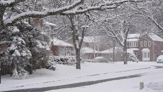 Winter Heavy SNOWFALL in Canada 🇨🇦 Relaxing Winter Walk 4K