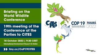 Briefing on the World Wildlife Conference | 19th meeting of the Conference of the Parties to CITES