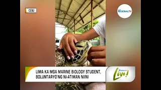 GMA Regional TV Live: Pagsalbar sa Green Sea Turtle