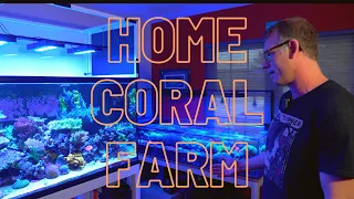 Visiting Mile High Corals
