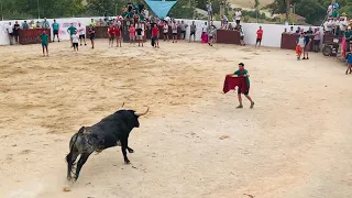 ✅ASÍ ESTRABA ESTE TORO DE CEBADA GAGO A LA CHAQUETA💯 TRESJUNCOS (Cuenca)