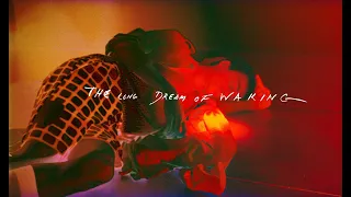 Dries Van Noten - The Long Dream of Waking