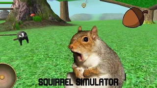 We Killed Badger & Squirrel Dance With Fun  - Squirrel Simulator