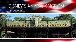 Finding Nemo Musical at Disney's Animal Kingdom HQ - HD edited