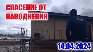 БЕРЕМЕННАЯ СОБАКА САМА ПРИПЛЫЛА К НАШЕЙ ЛОДКЕ!!! ЕЩЕ КАДРЫ О СПАСЕНИИ ЖИВОТНЫХ!!!