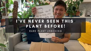 Rare Plant Haul & Unboxing From Facebook | A Special Unique Houseplant | vlog 5