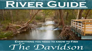 Davidson River Fishing Guide