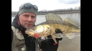 Рыбалка на Москва-реке, Беседы! Вечерний выход! Спиннинг весной! Судаки, берши и ЩУКА! Весна 2019!