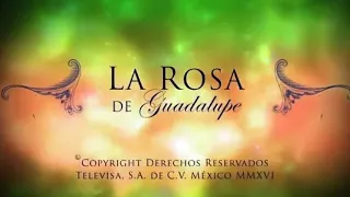 La Rosa de Guadalupe- Un camino lleno de espinas [Parte 2]