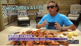 How To Pick A Maryland Blue Crab with Brian Stoehr