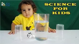 Ping Pong Ball Science Experiment With Water and Cups