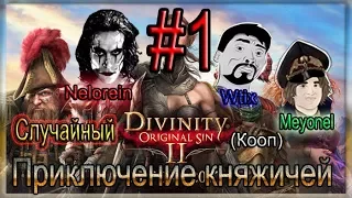 Случайный Divinity: Original Sin 2 (Кооператив)  - Приключение княжичей