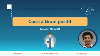 Cocci à Gram positif : Streptocoques I