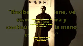 🤔💡 6 Datos Curiosos que No Sabías sobre Ip Man 🥋👀 #shorts