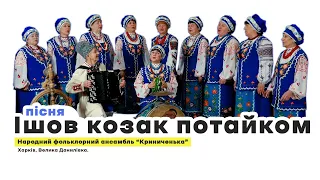 “Ішов козак потайком” - Народний фольклорний ансамбль “Криниченька” Українські традиції
