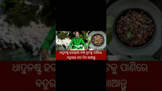 #ଧାତୁ ନଷ୍ଟ ହେଲେ#କଣ କରିବେ#odia baya gita anuchinta#ajira anuchinta#