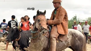 Meu cavalo é estouro - Tarcísio do acordeon  (Matuto Postou)